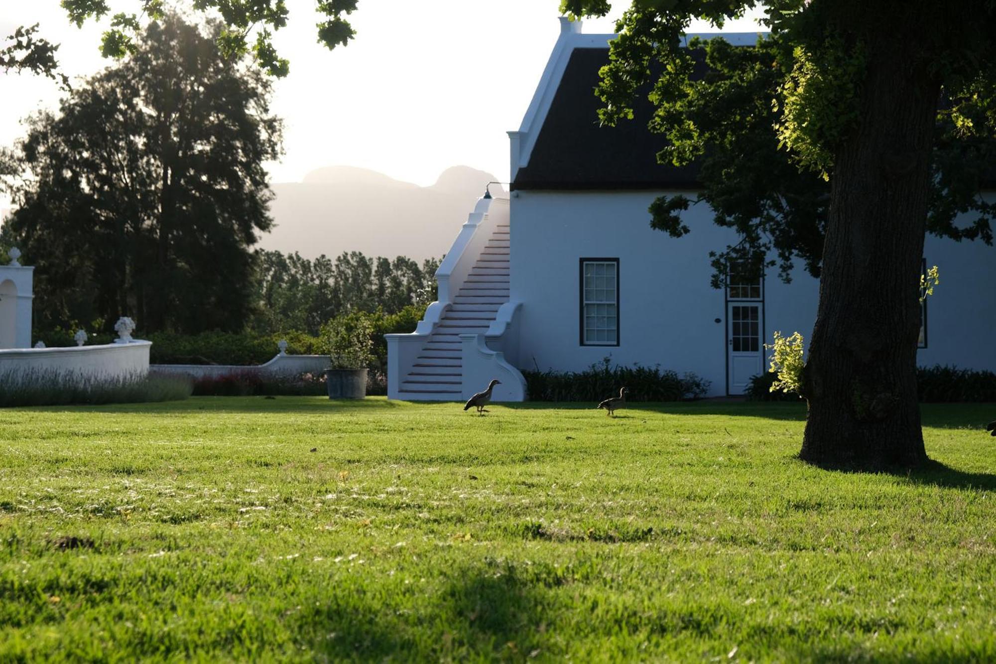 Adara Palmiet Valley Luxurious Boutique Farm Hotel Paarl Εξωτερικό φωτογραφία